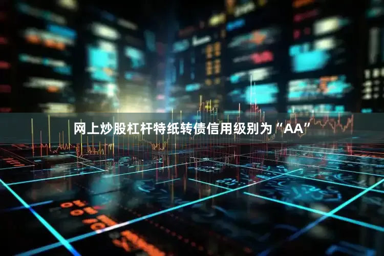 网上炒股杠杆特纸转债信用级别为“AA”